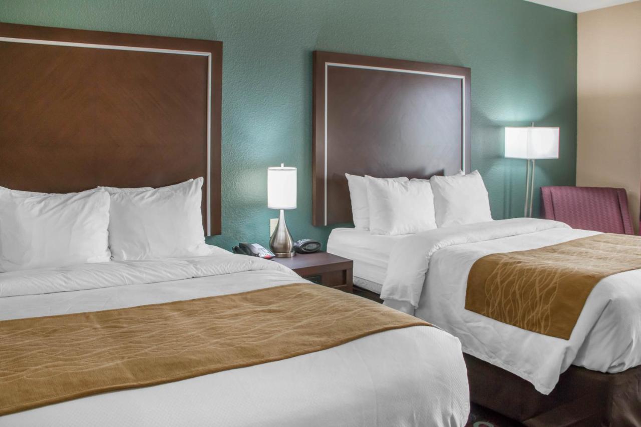Comfort Inn & Suites סן מרקוס מראה חיצוני תמונה