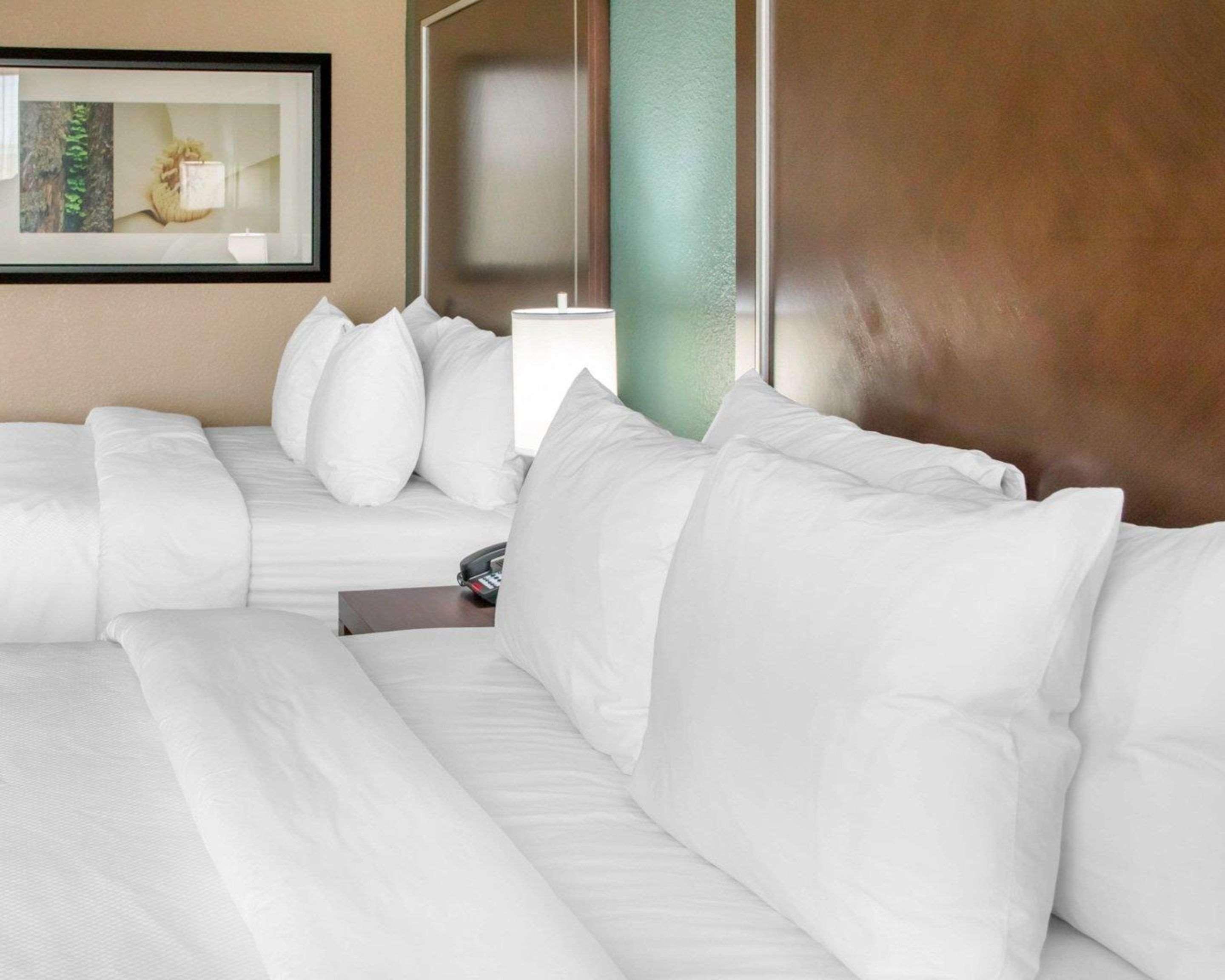 Comfort Inn & Suites סן מרקוס מראה חיצוני תמונה