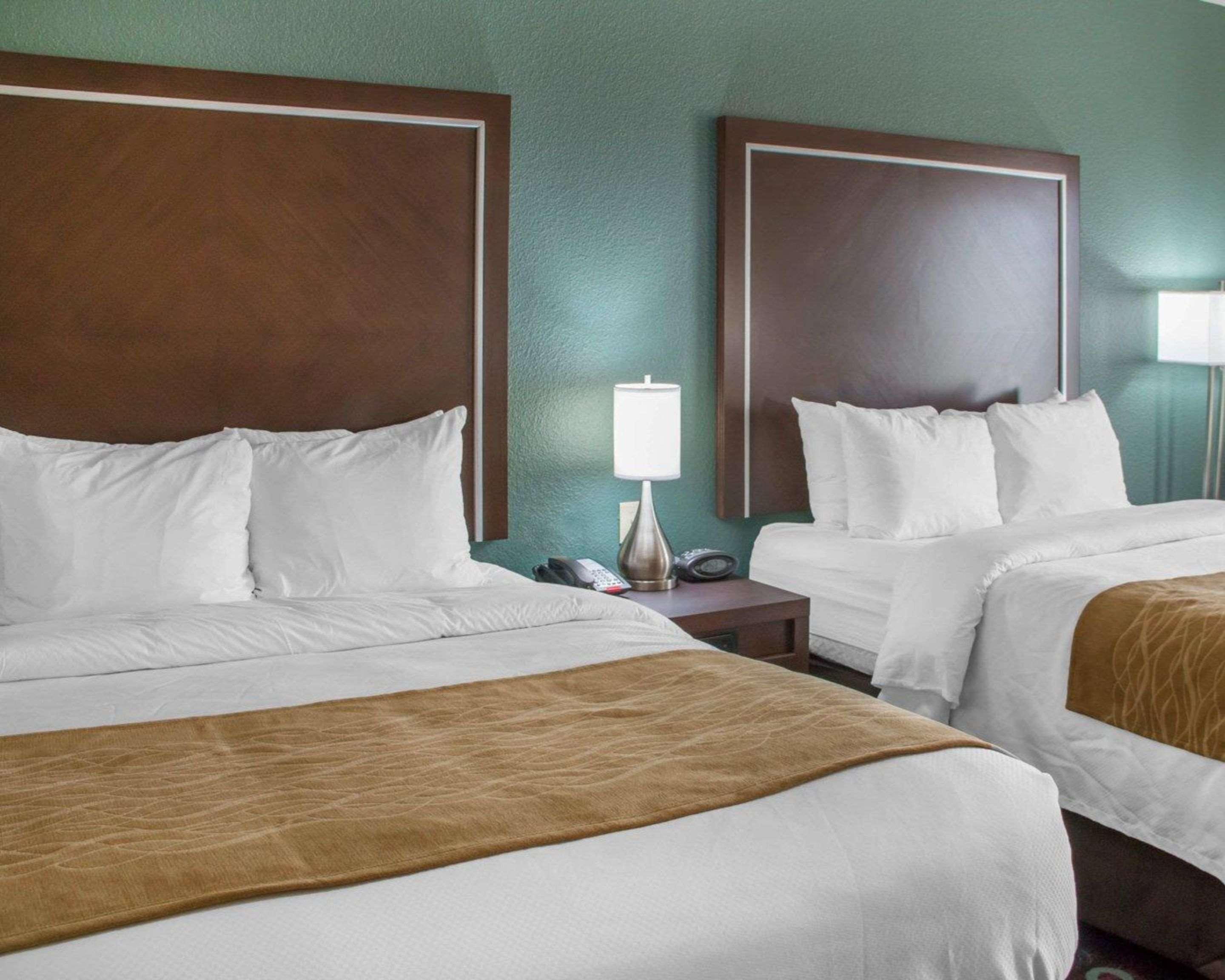 Comfort Inn & Suites סן מרקוס מראה חיצוני תמונה