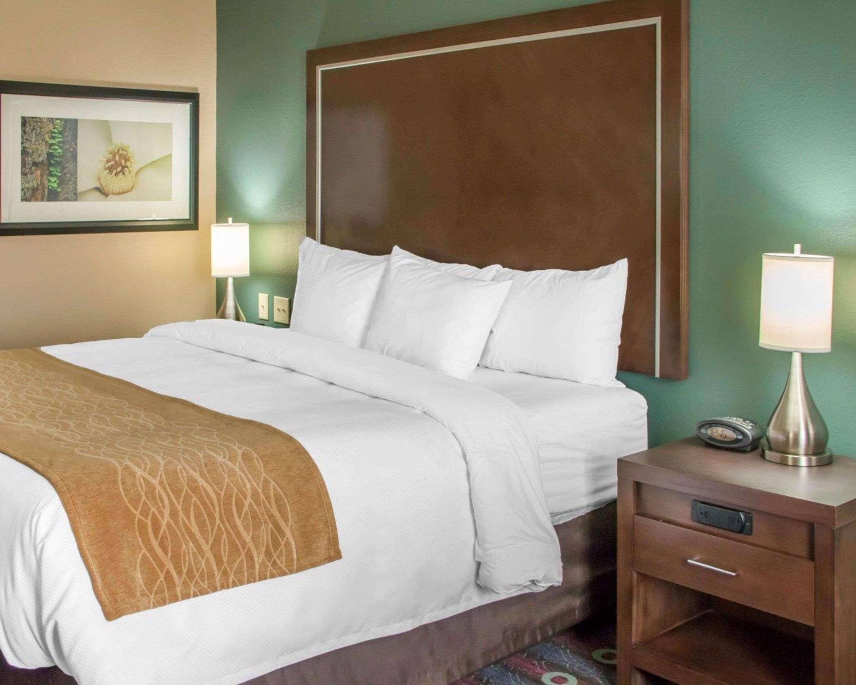 Comfort Inn & Suites סן מרקוס מראה חיצוני תמונה