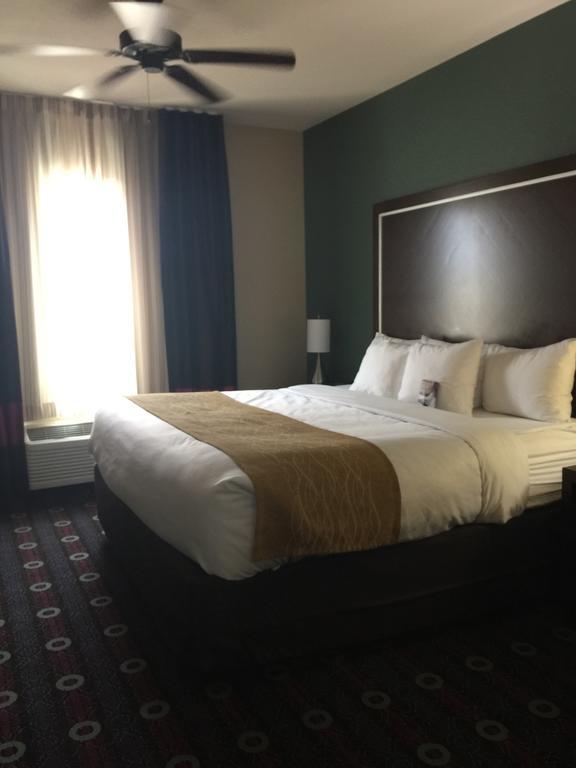 Comfort Inn & Suites סן מרקוס מראה חיצוני תמונה
