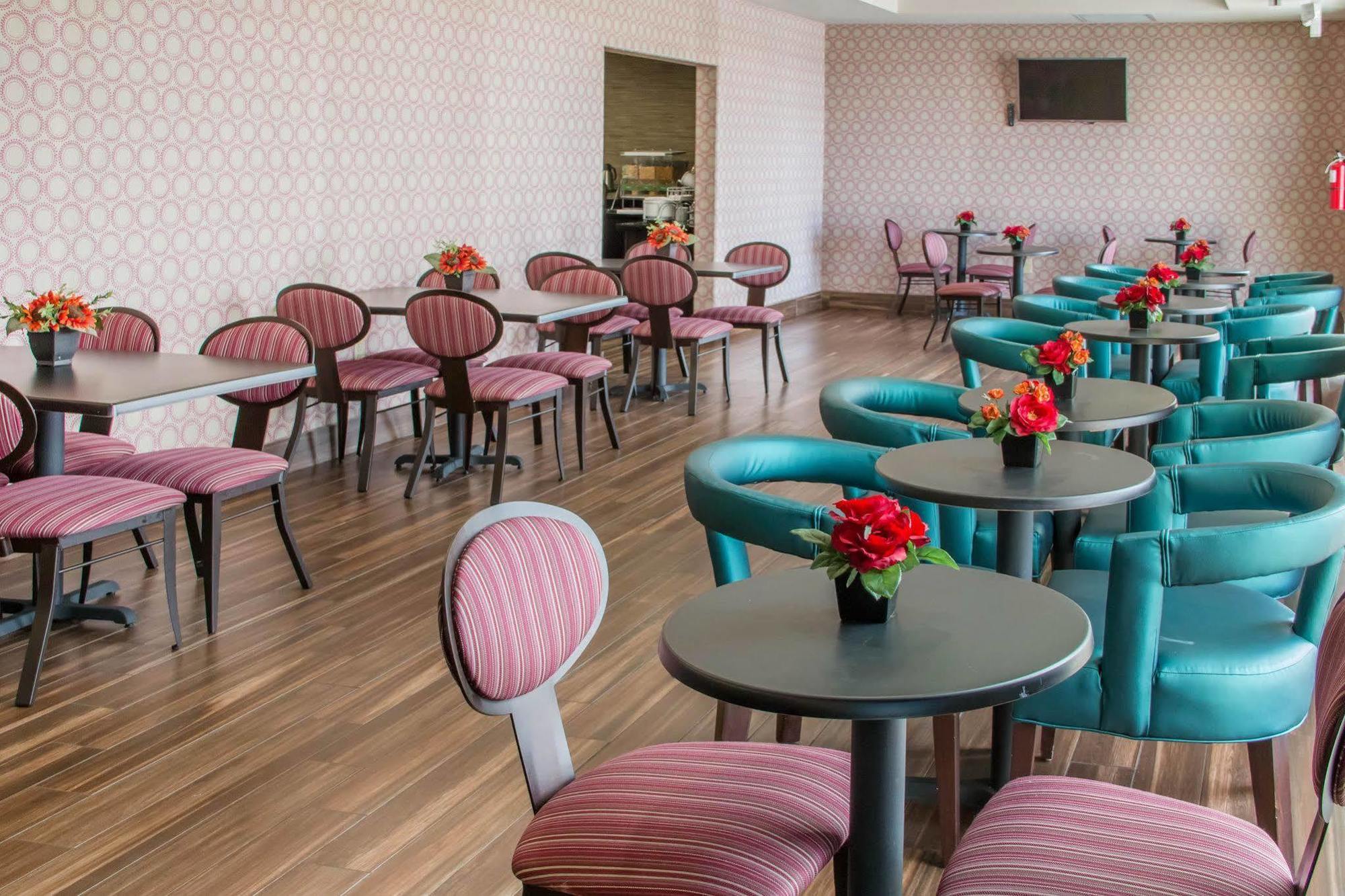 Comfort Inn & Suites סן מרקוס מראה חיצוני תמונה