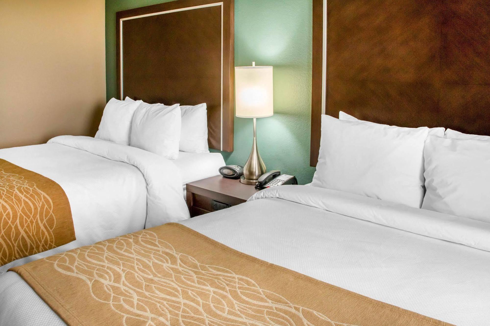 Comfort Inn & Suites סן מרקוס מראה חיצוני תמונה