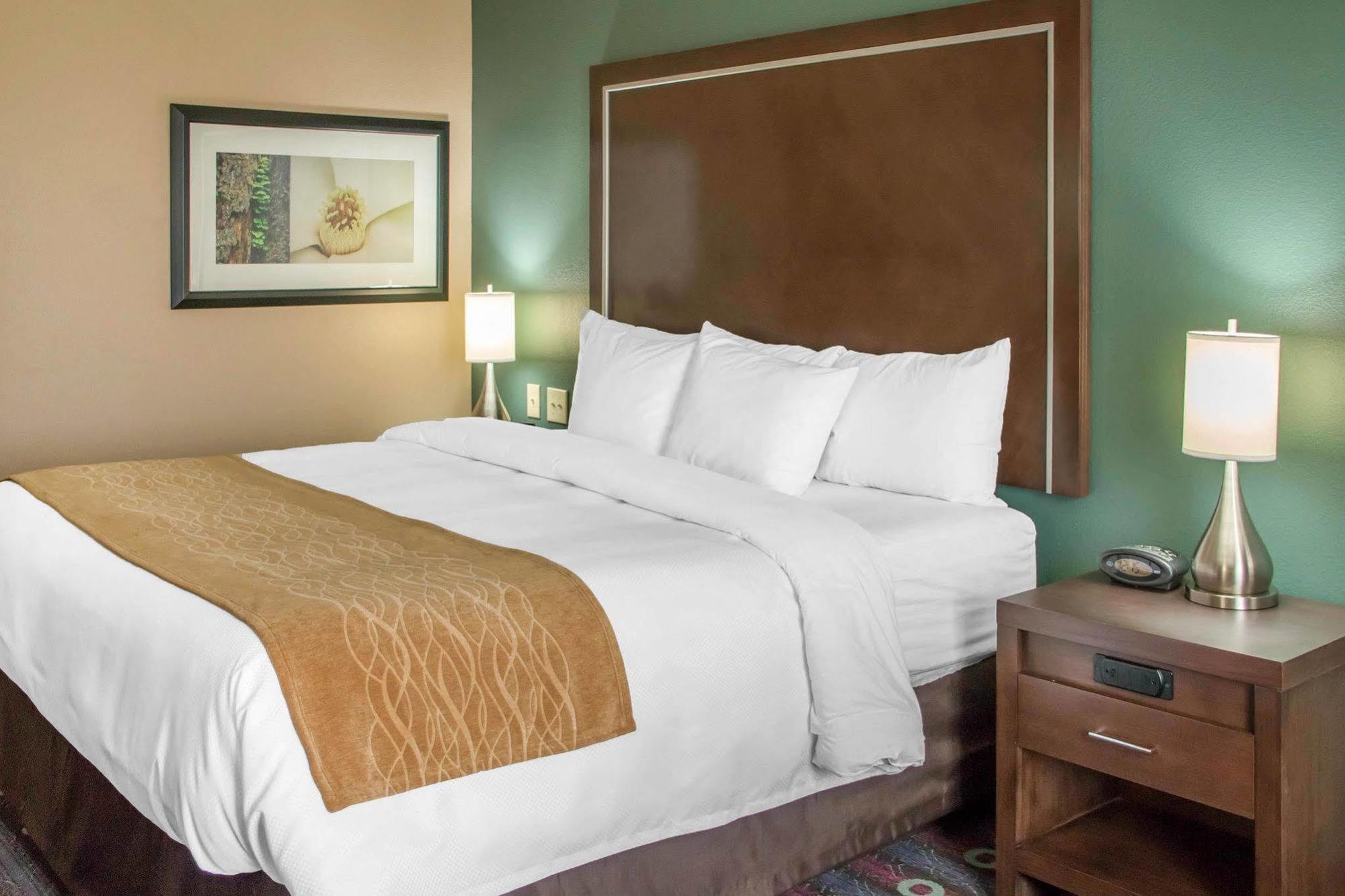 Comfort Inn & Suites סן מרקוס מראה חיצוני תמונה