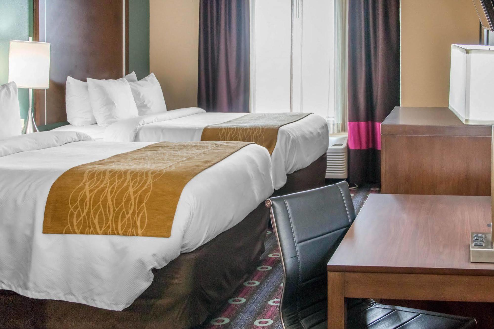 Comfort Inn & Suites סן מרקוס מראה חיצוני תמונה