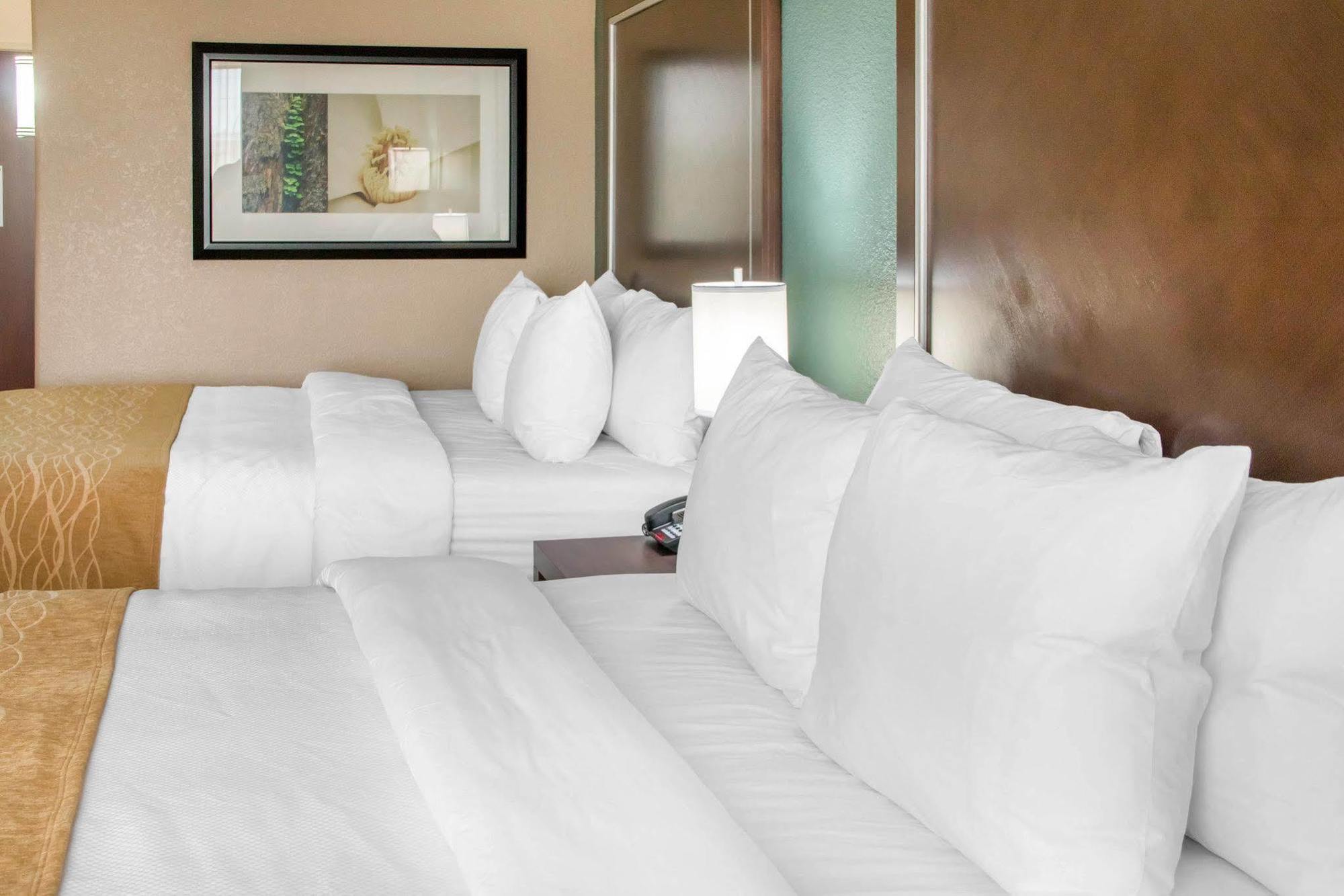 Comfort Inn & Suites סן מרקוס מראה חיצוני תמונה